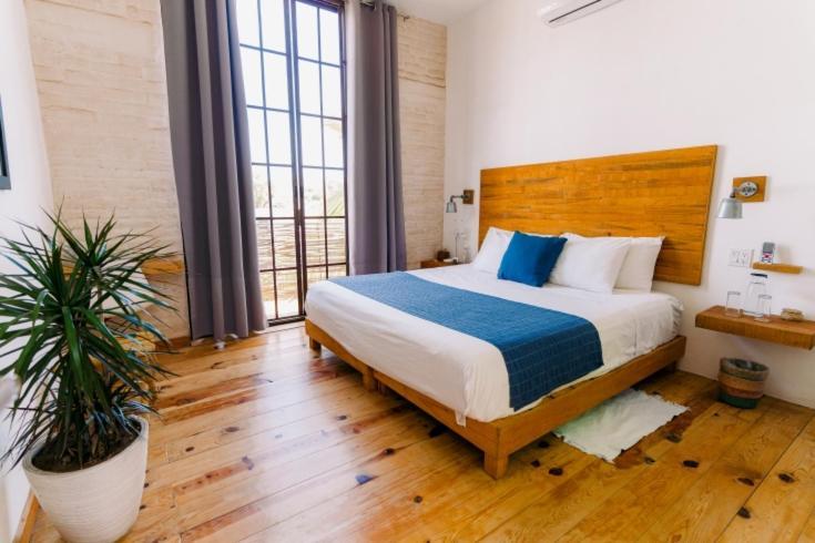 Hotel Baja House à Todos Santos Extérieur photo