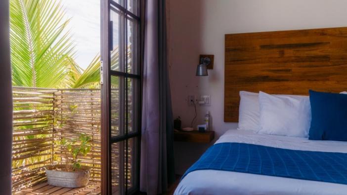 Hotel Baja House à Todos Santos Extérieur photo