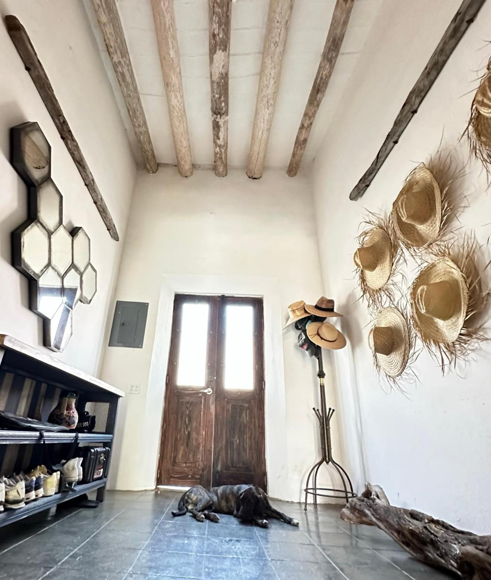 Hotel Baja House à Todos Santos Extérieur photo