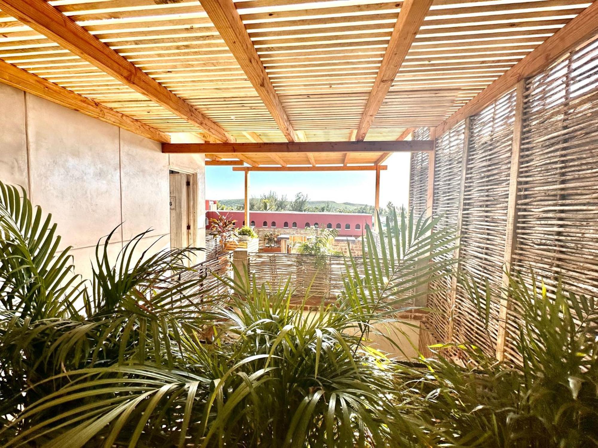 Hotel Baja House à Todos Santos Extérieur photo