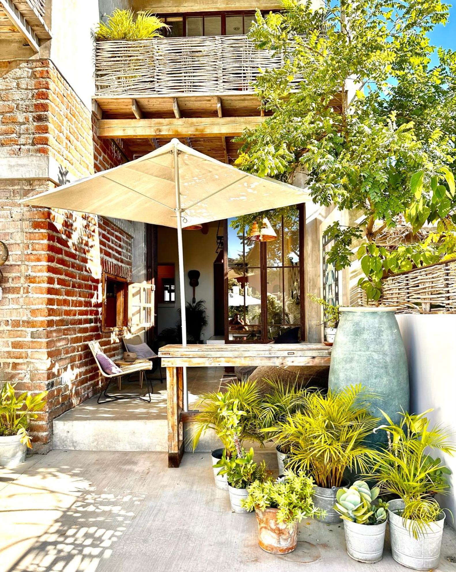 Hotel Baja House à Todos Santos Extérieur photo